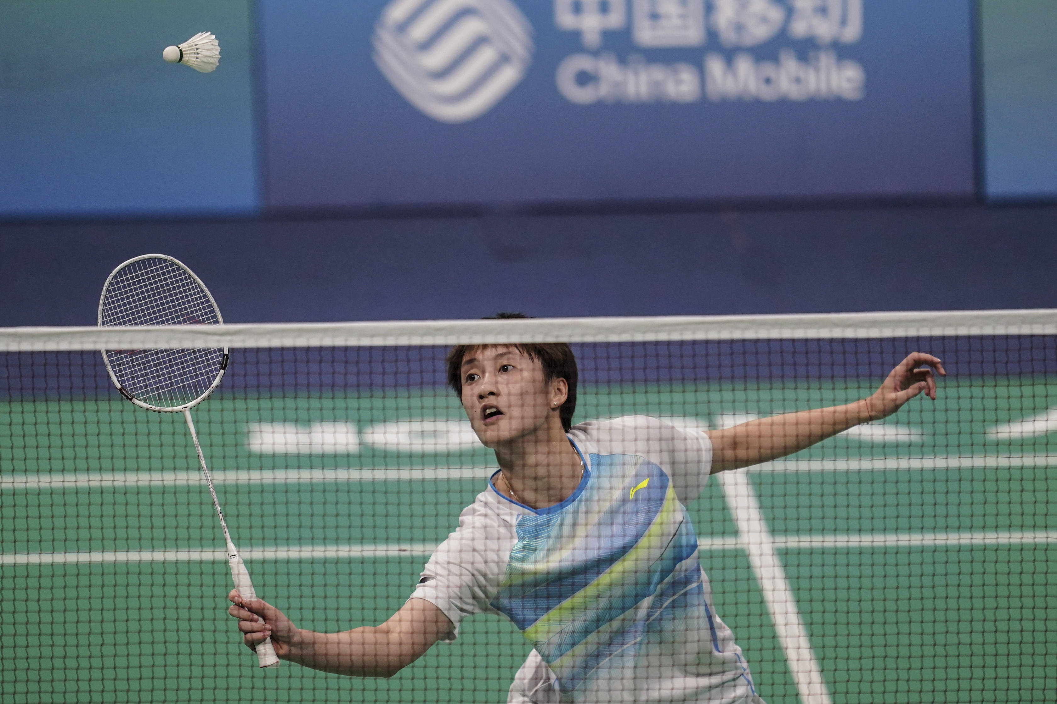 中发挥重要 中发挥重要