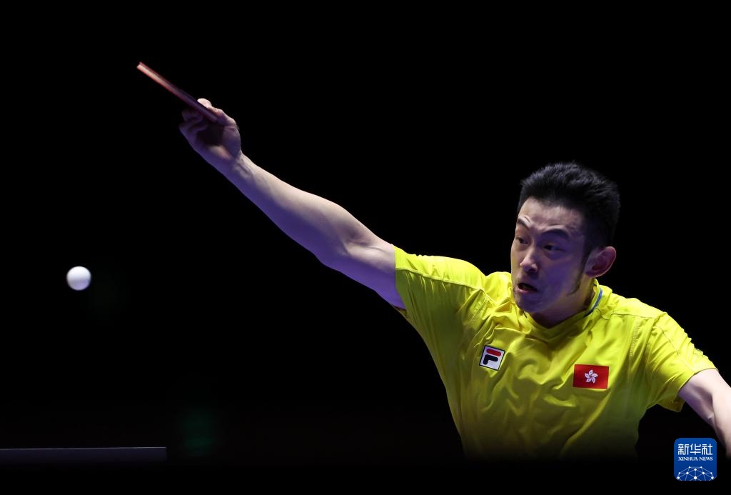 可以看到对 可以看到对