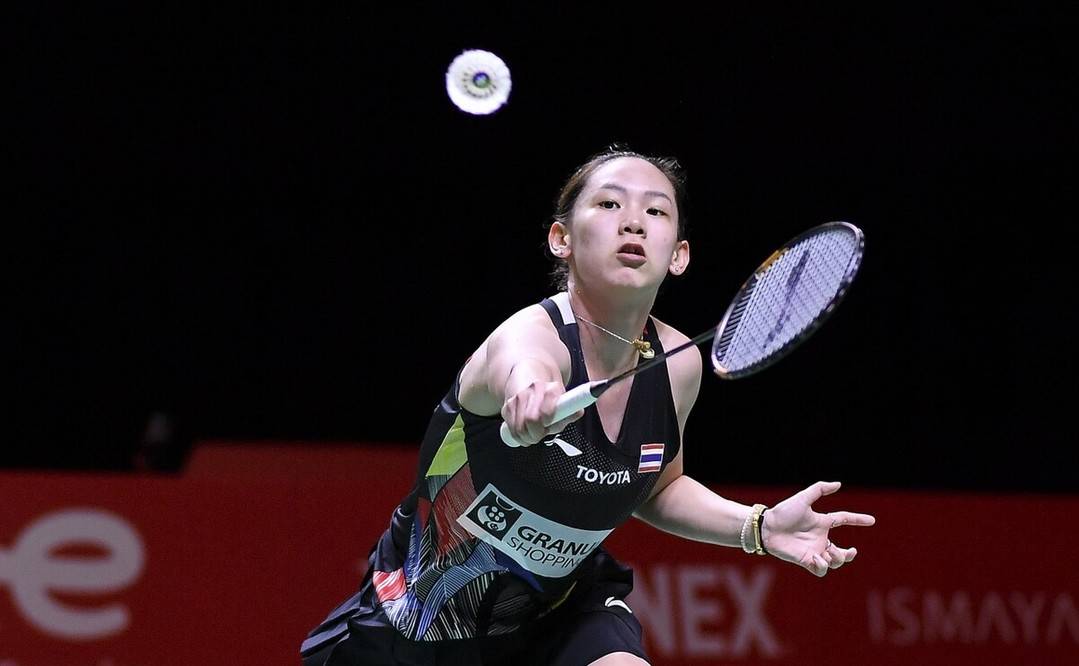 人气高涨 人气高涨