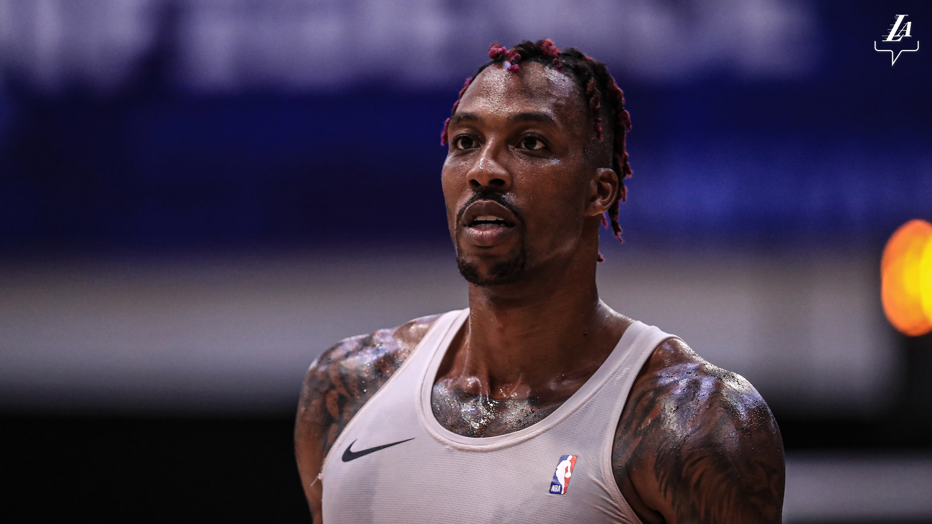 活跃度呈阶 活跃度呈阶